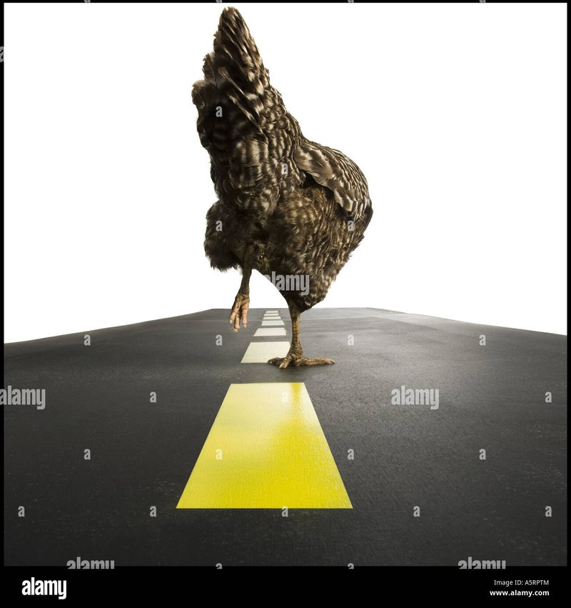Descubre el Misterio de La Ruta del Pollo en España in Spain